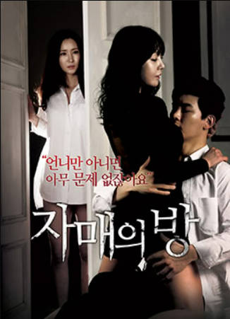 姐妹情室封面图