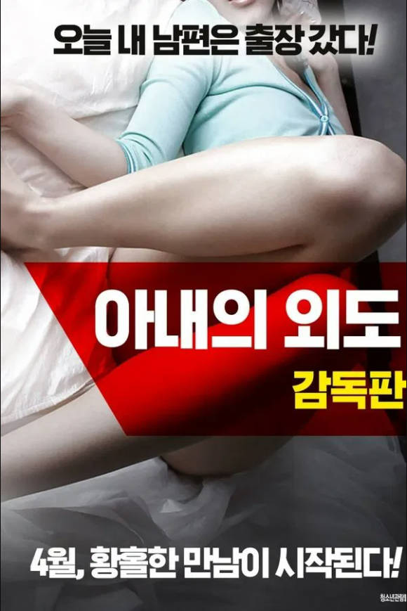 妻子的情事封面图