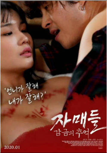 姐妹们：监禁的回忆封面图