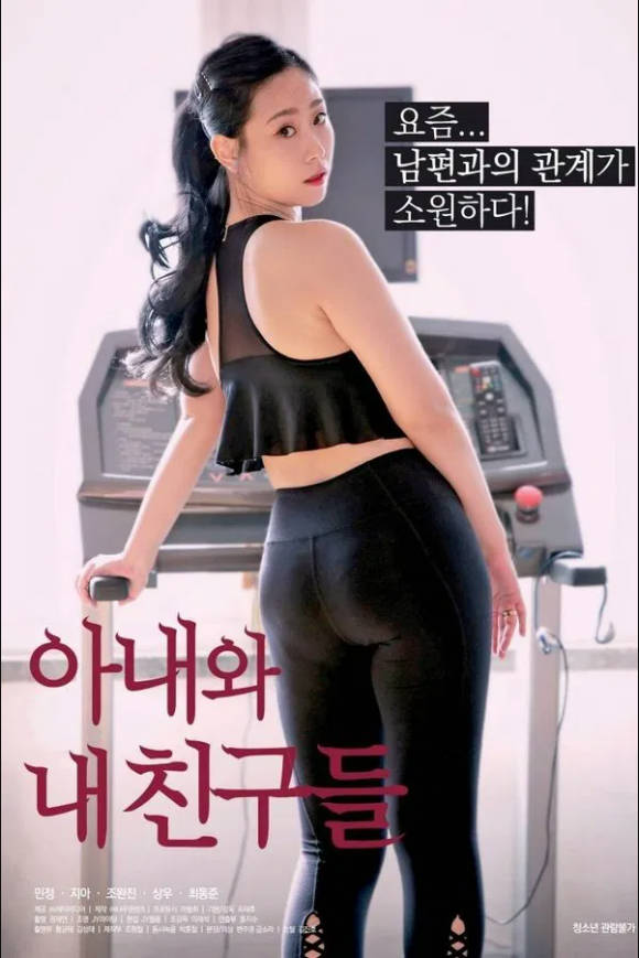 妻子和我的朋友们封面图