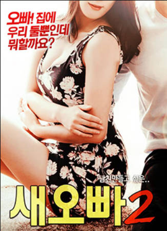 新的哥哥2封面图