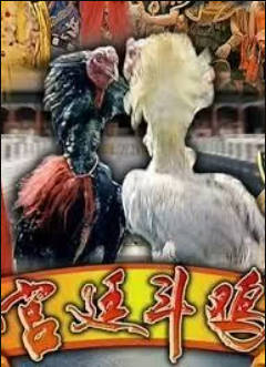 功夫斗鸡封面图