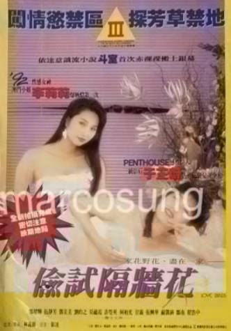 偷试隔墙花封面图