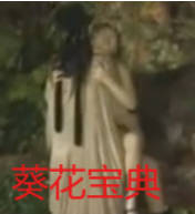 葵花宝典封面图