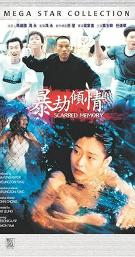 暴劫倾情封面图