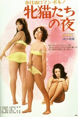 性感野猫之夜封面图