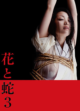 花与蛇3封面图