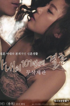 我妻子的101次婚姻封面图