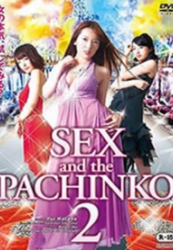 欲望弹珠机2封面图