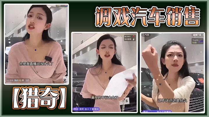 【猎奇】调戏汽车销售封面图