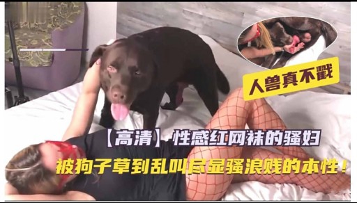人兽真不戳【高清】性感红网袜的骚妇封面图