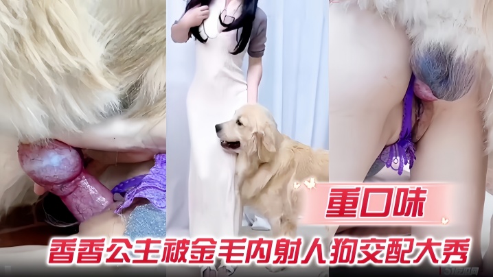 【重口味】香香公主被金毛内射人狗交配大秀封面图
