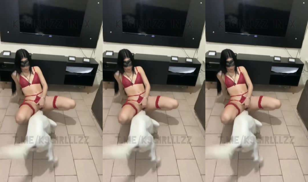 k9系列小白狗#狗狗#舔逼#挑逗#人妻#骚逼#情趣内衣#白虎封面图