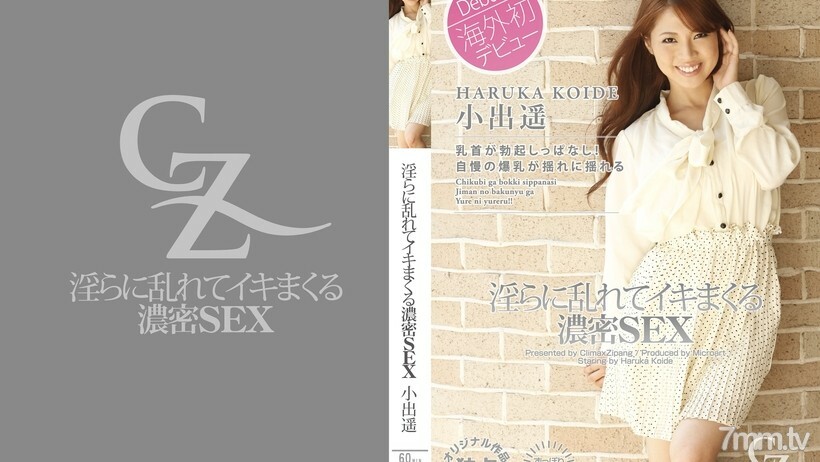 CZ013 不雅和狂欢的密集性行为封面图