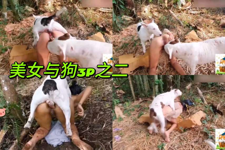 经典人兽：美与与两狗3p！封面图