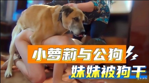 小萝莉与公狗妹妹被狗干封面图