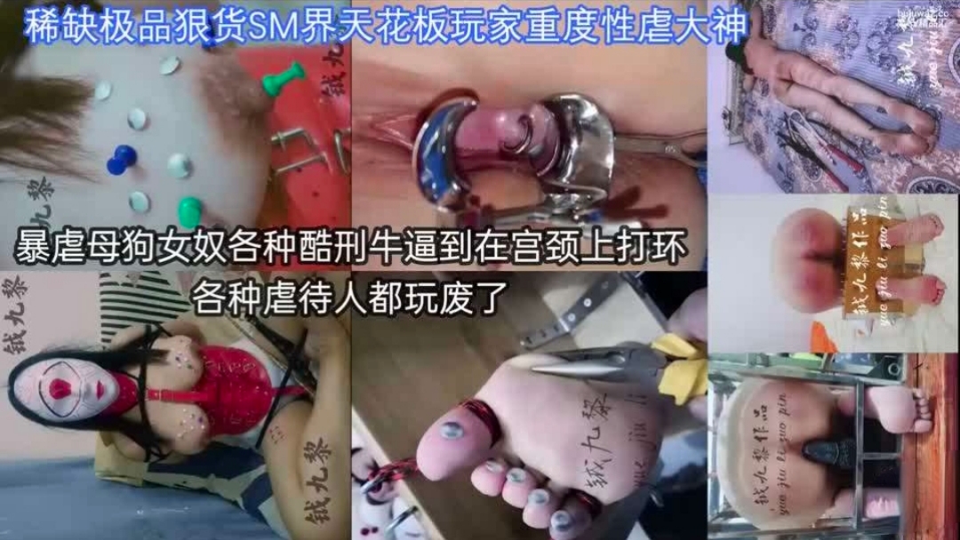 缅甸大神SM调教，暴虐母狗女奴各种酷刑宫颈上打环封面图