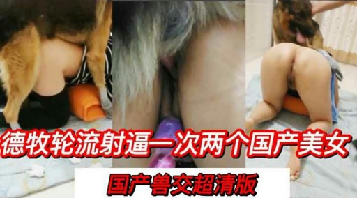 德牧轮流射逼一次两个国产美女国产兽交超清版封面图
