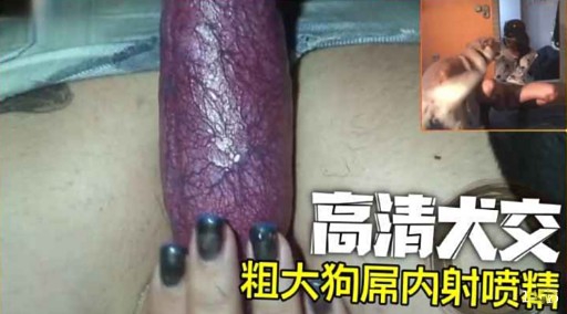 高清大交粗大狗屌内射喷精封面图