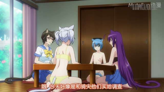 玩伴猫耳娘 OVA封面图