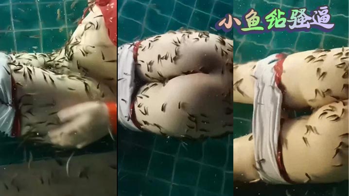 小鱼钻骚逼封面图