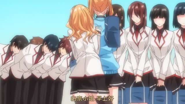 我的双胞胎姐姐们封面图