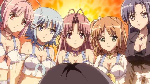 热带之吻封面图