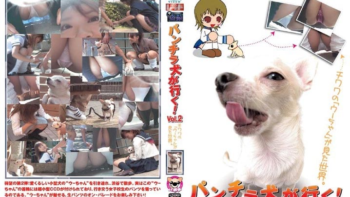 PUROD-072 - 拳击狗要去冒险！第二卷即将到来，敬请期待封面图