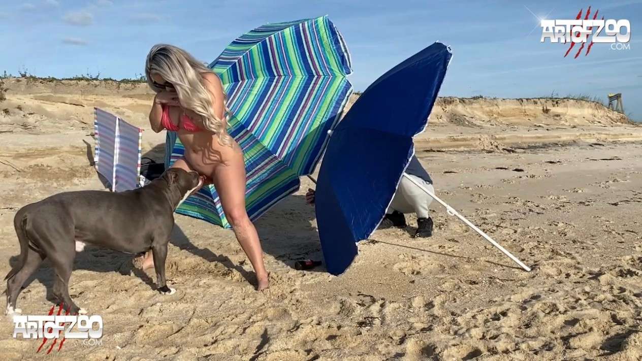 沙滩上露出被狗狗狂插内射两次封面图