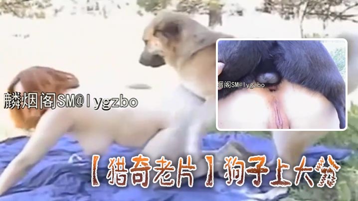 猎奇老片狗子上大分封面图