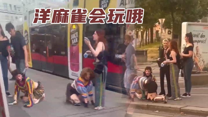 洋麻雀会玩哦封面图