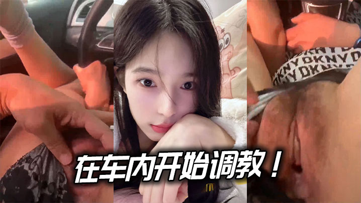 在车内开始调教！.边驾边玩逼封面图