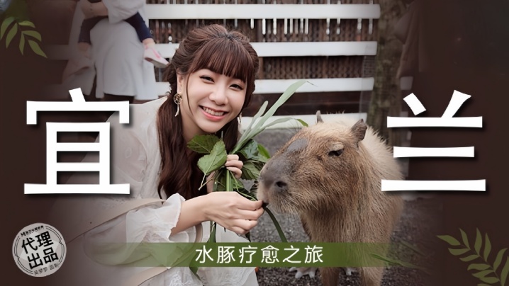 【吴梦梦】MM078 宜兰水豚疗愈之旅封面图