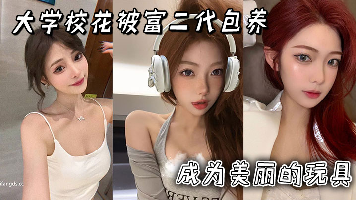 大学校花被富二代包养成为美丽的玩具封面图