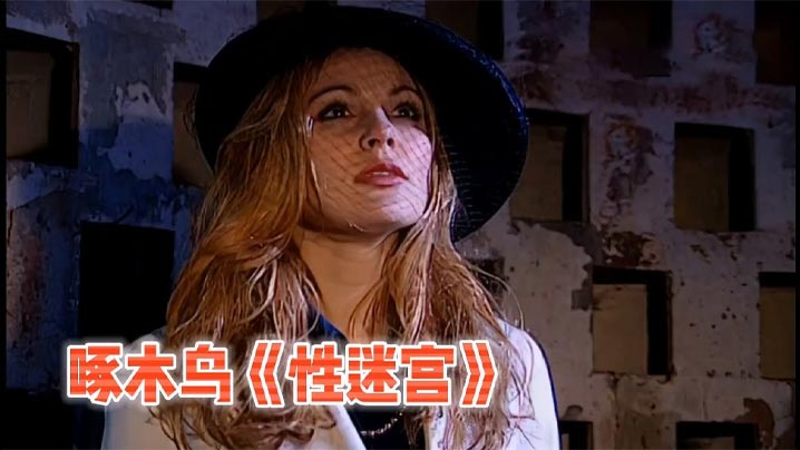 啄木鸟系列性迷宫封面图