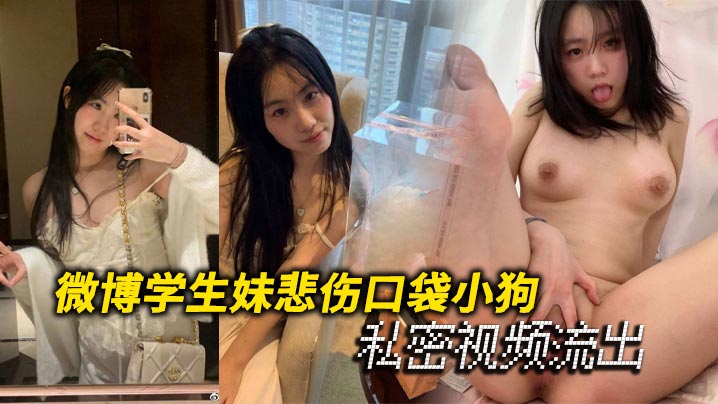 微博学生妹悲伤口袋小狗私密视频流出封面图