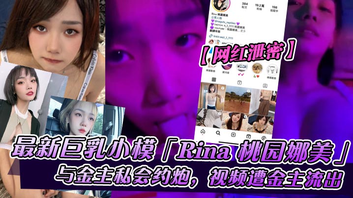 网红泄密巨乳小模Rina桃园娜美与金主私会约炮视频遭金主流出封面图