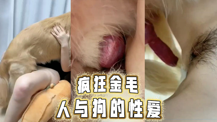 疯狂金毛人与狗的性爱封面图