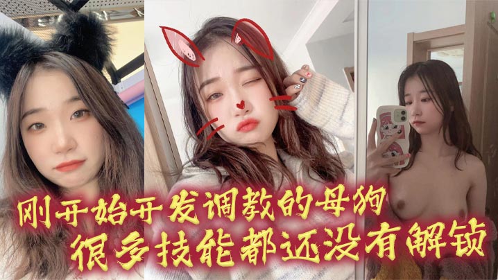 刚开始开发调教的母狗 很多技能都还没有解锁封面图