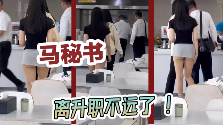 马秘书离升职不远了封面图